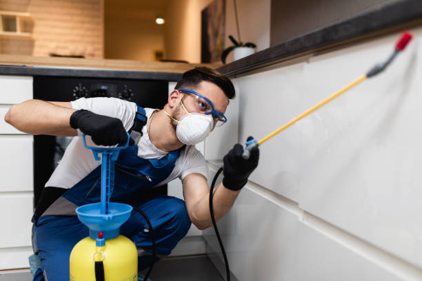 Pest Control for Restaurants in Pinellas Park, FL