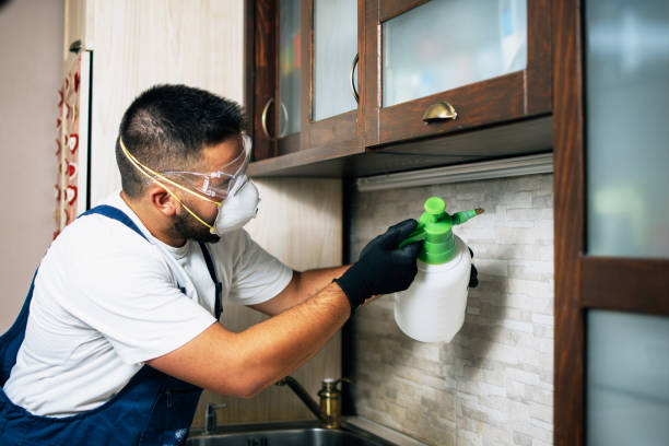 Best Pest Control Treatment  in Pinellas Park, FL