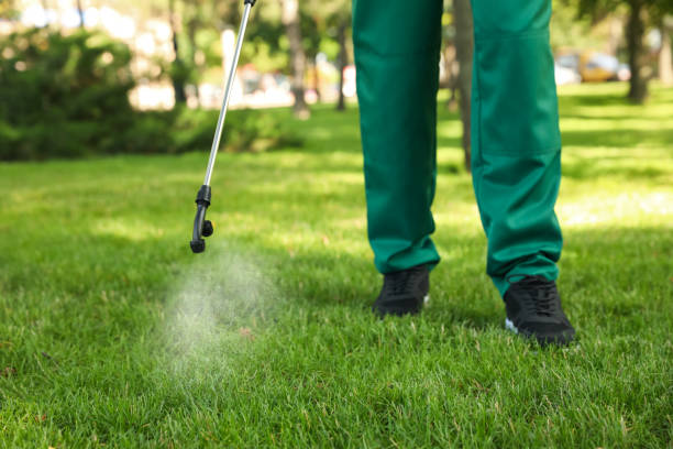  Pinellas Park, FL Pest Control Pros